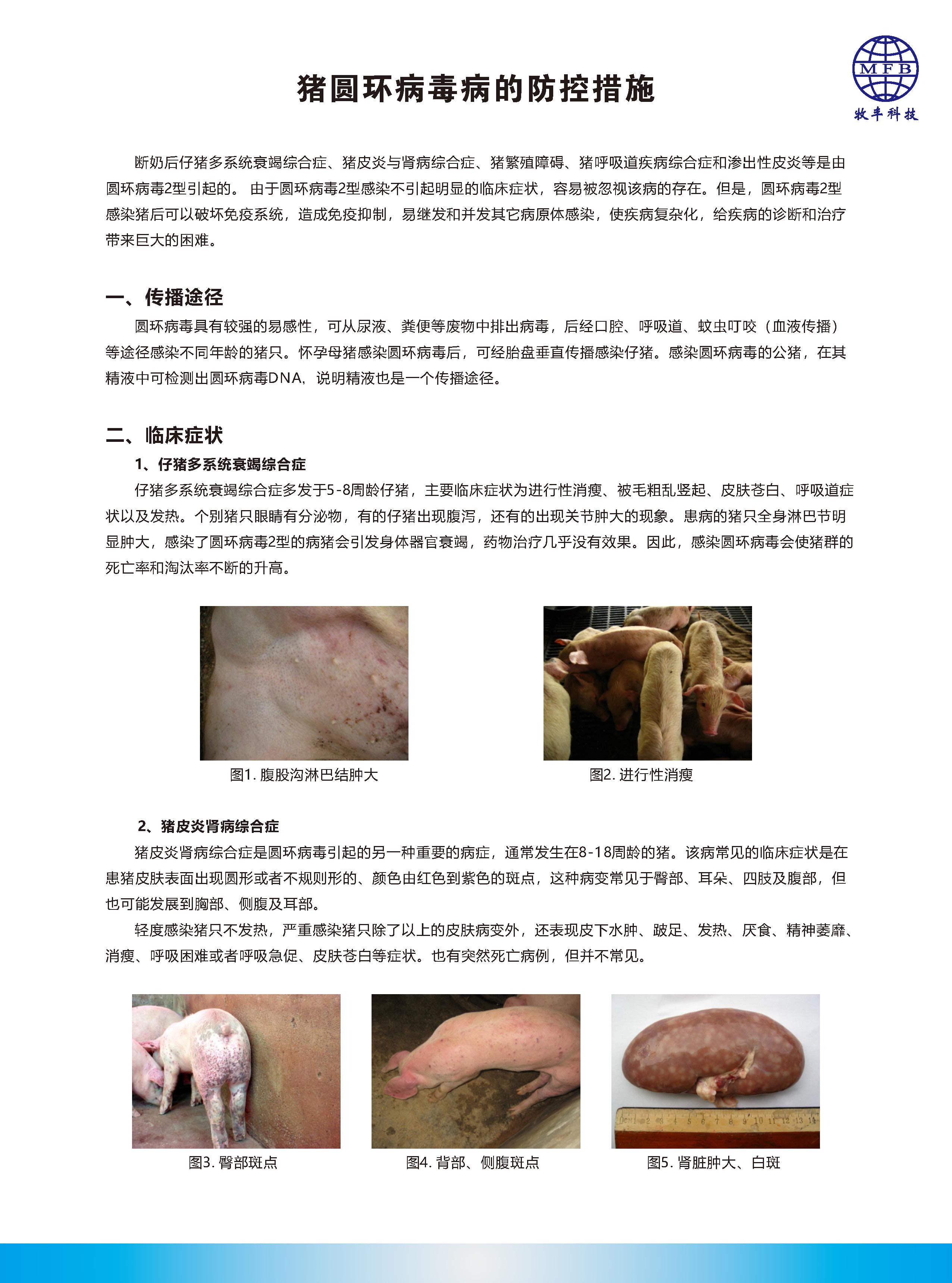 猪圆环病毒病的防控措施_页面_1.jpg