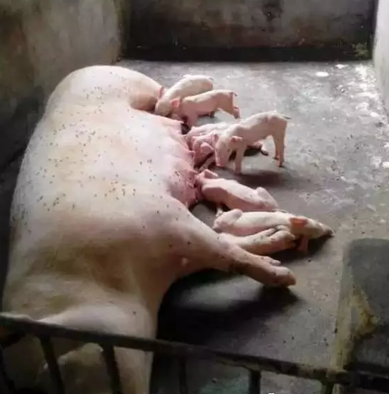 微信图片_20180417094404.png 微信图片_20180417094404.png